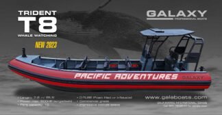 GALAXY TRIDENT Professional Aluminium Hull RIBs